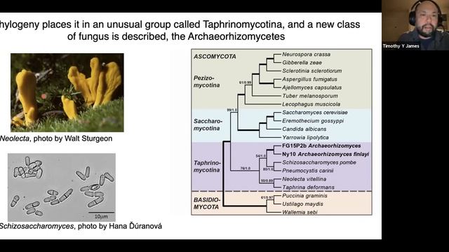 Linking DNA to the Microscope with Timothy James, PhD смотреть онлайн