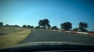 Мири животных