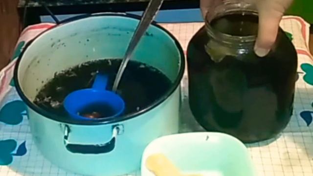 Kombuha/Priprema смотреть онлайн