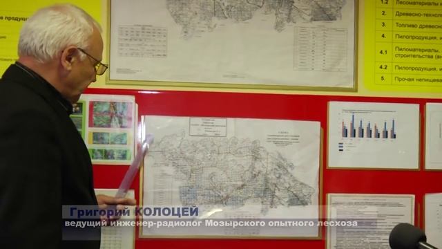 грибы смотреть онлайн