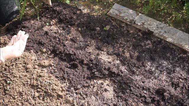 Я у мамы кулинар. Люба такая Люба. Карниз и редька