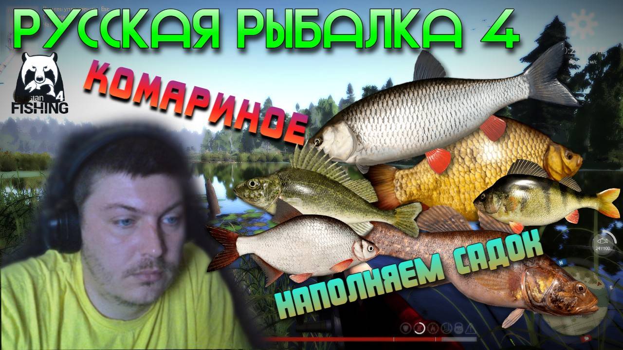 🎣Русская Рыбалка 4🐟 Комариное🔥 Наполняю Садок #2🦈