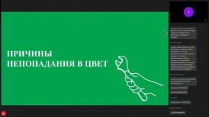 Вебинар "Колеровка: правила, инструкции, ответы на вопросы с экспертом"