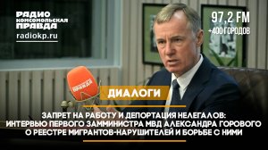 Запрет на работу и депортация нелегалов:  Александр Горовой о реестре мигрантов-нарушителей