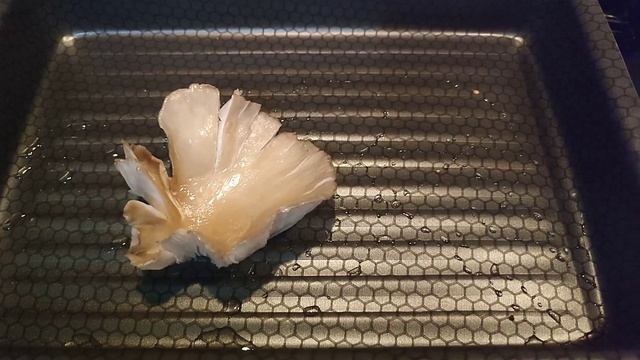 طريقة تحضير الفطر المحاري وفوائده مصرية في تركيا смотреть онлайн