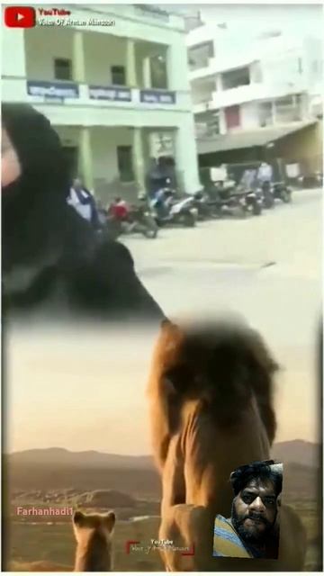 hijab girl power #lion #love #attitude #viral #hijab #power #women #girl #islamic #trending смотреть онлайн