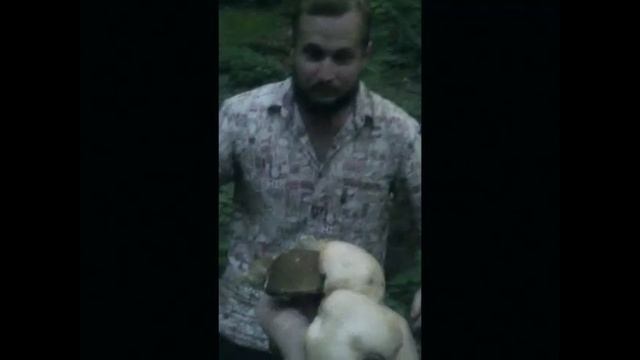 Грибной оборотень смотреть онлайн