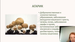 Фунготерапия - лечебные грибы