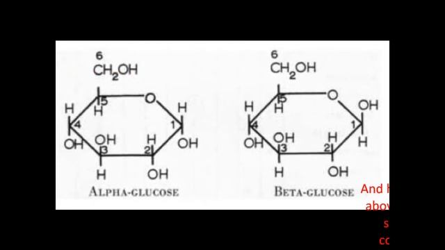 Cellulose Movie смотреть онлайн