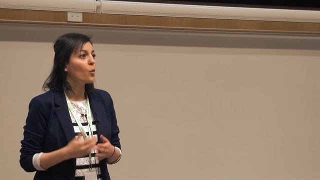 3MT ’15-Jaleh Shahin/Educational Psychology смотреть онлайн