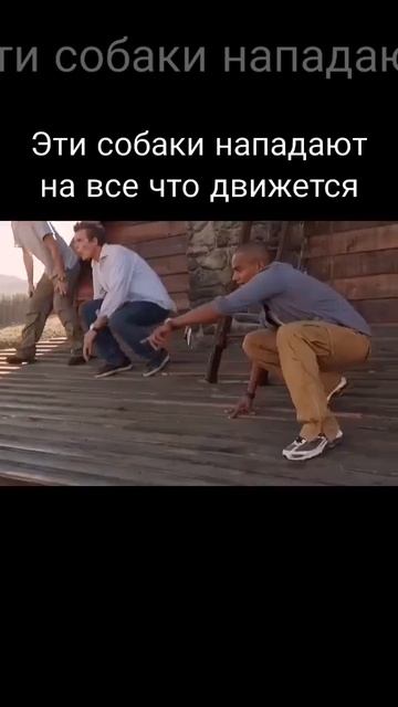 ▶️Эти собаки нападают на все что движется