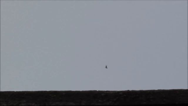 Голуби подкидушки. 2019г. смотреть онлайн