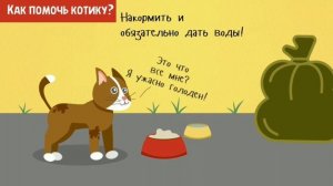 Как помочь котику Мультику?