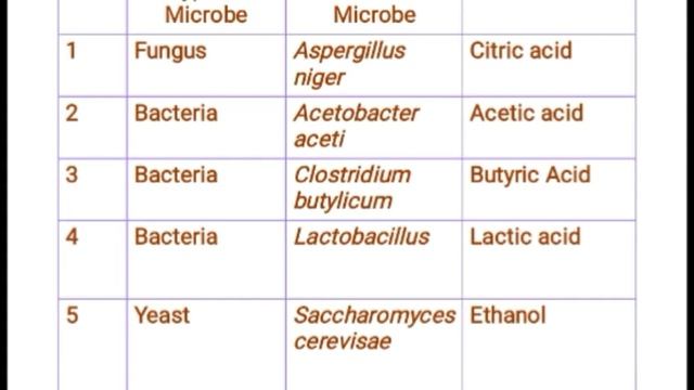 Microbes in antibiotic and biochemical production -  P -2-Microbes in human welfare #biology