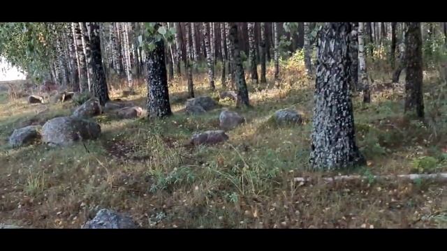 Ливень...поход в лес по грибочки смотреть онлайн