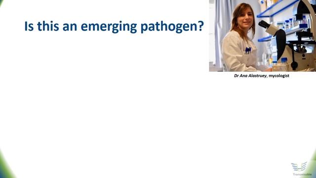 Candida Auris смотреть онлайн