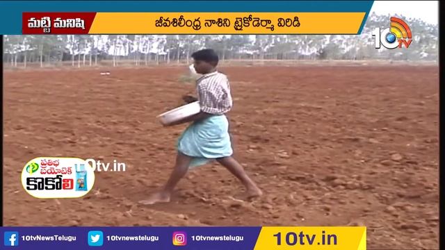 ట్రైకోడెర్మా విరిడితో తెగుళ్లకు చెక్ | Pests Control With Trichoderma | Matti Manishi | 10TV