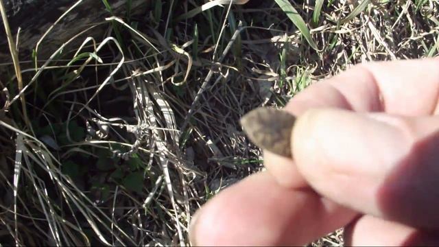 Северский Донец 24. 03. 2014. Опыты с трутовиком и неожиданный улов весом 1.2 кг. смотреть онлайн