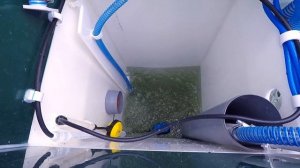 Мини-обзор септика Юнилос Астра.