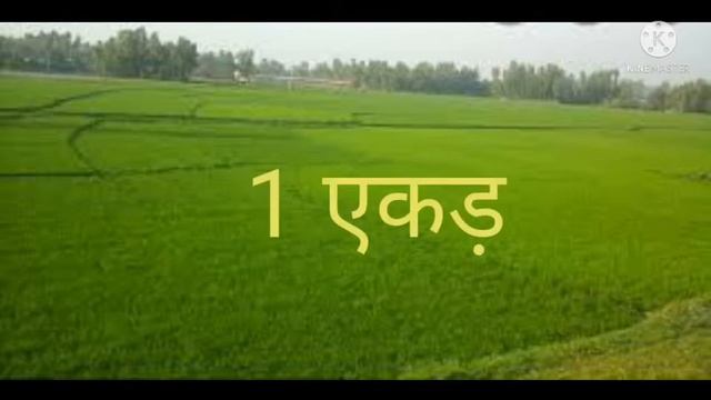 How to Multiply Trichoderma with water/ ट्राइकोडर्मा कैसे तैयार करे #trichoderma смотреть онлайн