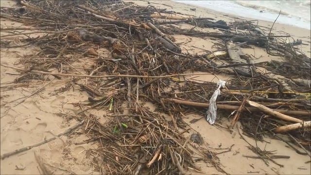 Последствия тайфуна "Тембин" на морском берегу Нячанга. смотреть онлайн