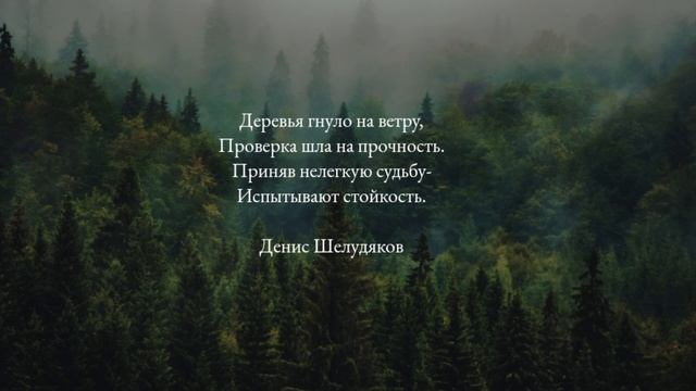 Стойкость #стихи #стихотворение #стихотворения #поэт #поэт21века #поэзия #поэзия21века