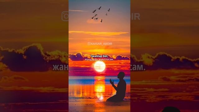 😥КЕШІР АЛЛА😥 авторы: Нұрхат Қизатұлы / оқыған: Қайсар Берікұлы (ҚАЗАҚША ПОЭЗИЯ-2021)