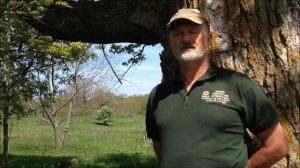 Q&A with Mark Shepard: How do goats fit into a restoration ag farm?