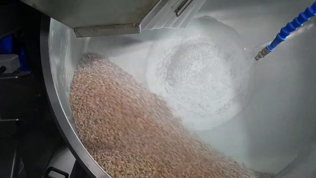 CO - 750 Automatic Salting Machine
