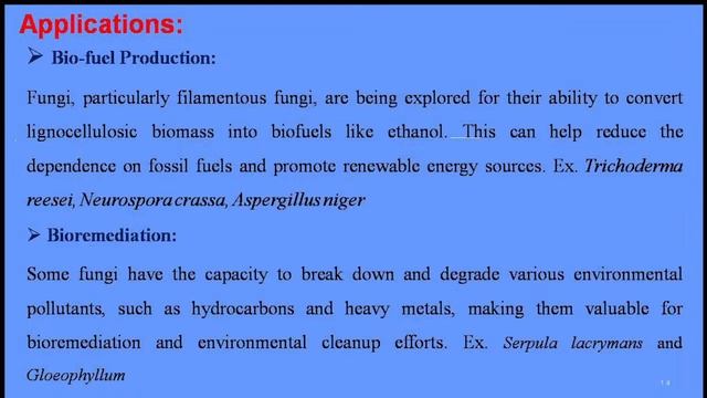 Fungal Biotechnology
