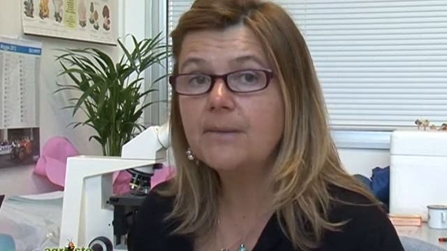 MODELLI PREVISIONALI E DIFESA PER VITE, PATATA, POMODORO E ACTINIDIA AL 12 GIUGNO 2013 смотреть онлайн