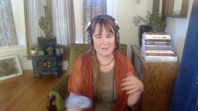 Color Changing Dye: Natural Fabric Dye with Mushrooms