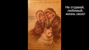 Не отдавай, любимый, жизнь свою!