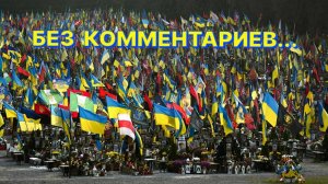 УКРАИНА СЕГОДНЯ: КАК ГОЛОСУЮТ, ТАК И ЖИВУТ...