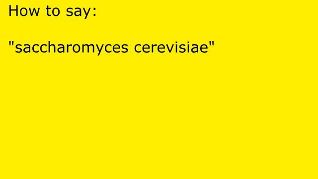 How to pronounce saccharomyces cerevisiae смотреть онлайн