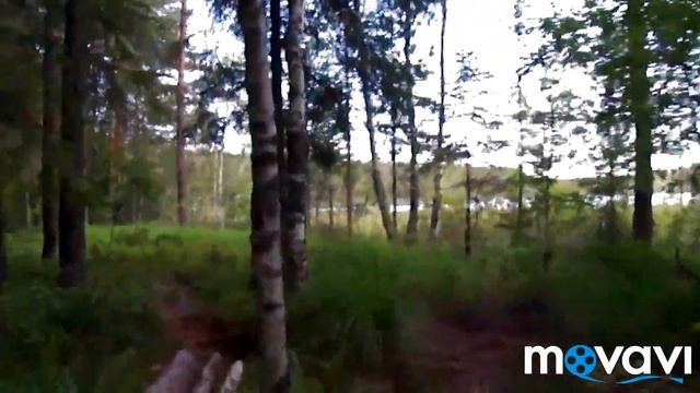 В лес по грибы по ягоды смотреть онлайн