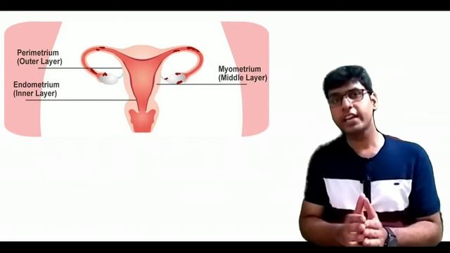 HUMAN REPRODUCTION:CORPUS LUTEUM