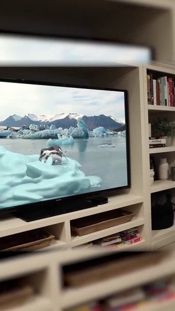 Такие передачи с девушкой лучше не смотреть! смотреть онлайн