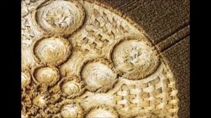 Загадка кругов на полях - что создает сложные узоры на полях? Удивительные факты.