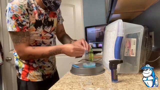 Spore print to agar смотреть онлайн