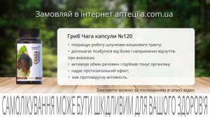 Міцелій Грибів у капсулах від ФітоБіоТехнології в інтернет аптеці https://a.com.ua/