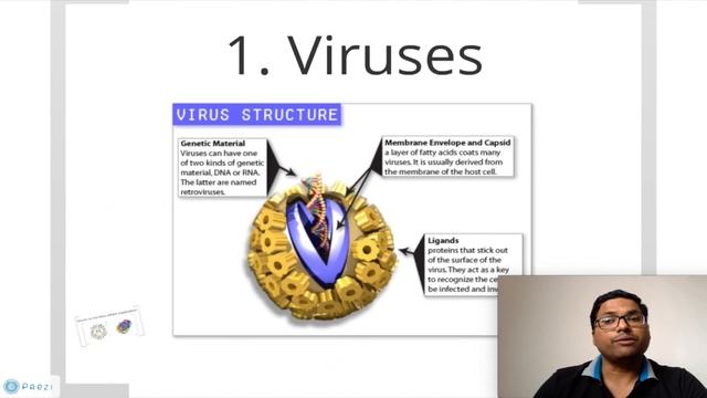 Organisation of Cell: Cell Theory смотреть онлайн