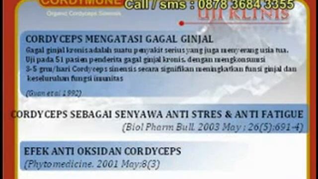 Cordymune.flv смотреть онлайн