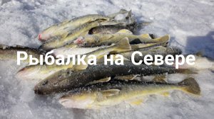 Рыбалка на Севере