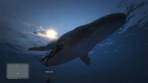 Whale GTA5 ONLINE/ кит в гта 5 онлайн