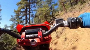 EXE 880 Arctic Leopard First Ride Review