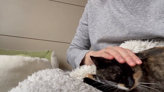 03-02-2025 смотреть онлайн