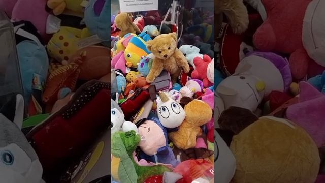 Залежавший медведь в аппарате хватайка