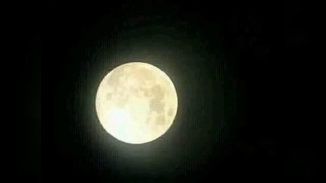 batair ki awaz quil sound wheat hunting sound with night گندم کی شکار کے لئے رات والی آواز