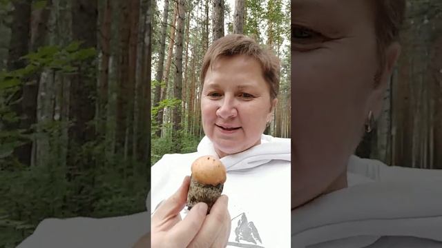 Обеспечение Папы в твоей жизни приходит по-новому 🔥🌏👑🦅Стражи Земли. 18 июня 2023